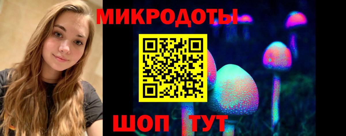 Псилоцибиновые грибы мицелий Саки